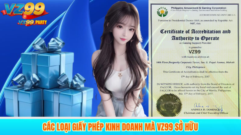 Các loại giấy phép kinh doanh mà VZ99 sở hữu