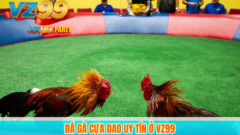 Đá gà cựa dao uy tín ở VZ99