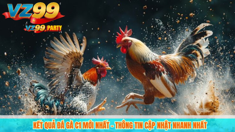 Kết quả đá gà c1 mới nhất – Thông tin cập nhật nhanh nhất